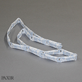 PAX1R e tn