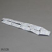 PAX2R e tn